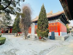 -北京艺术博物馆(万寿寺)