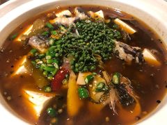 椒香胡辣鱼-芙蓉凰花园酒楼