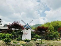 -宁波浙东大竹海景区