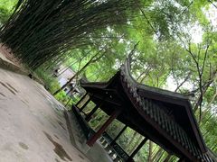 -峨眉山报国寺