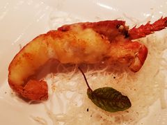 澳洲龙虾-北京四季酒店·采逸轩