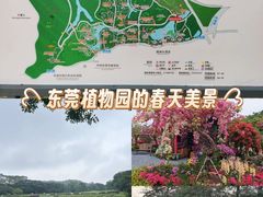 -东莞植物园