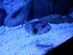 -成都浩海立方海洋公园