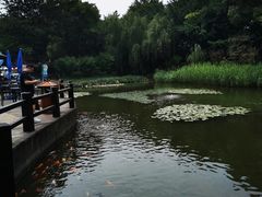 -天目湖山水园