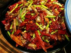 -天山醉美辣子鸡(文艺路店)