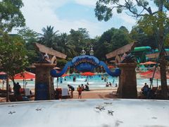 -新加坡水上探险乐园