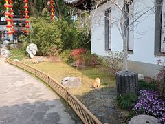 -无锡蠡湖国家湿地公园-蠡园