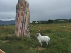 -哈素海
