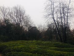 -敬亭山风景名胜区