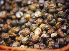 -健眺小海鲜(临海后山店)