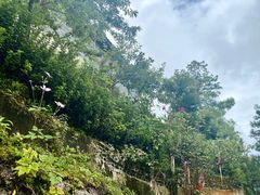 -腾冲云峰山