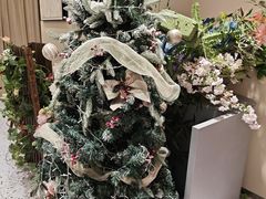 -海马体照相馆(佛山岭南站店)
