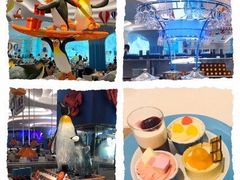 -帝企鹅自助餐厅•儿童岛•真企鹅(长隆企鹅酒店)