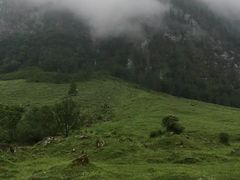 景点-柯尼希湖