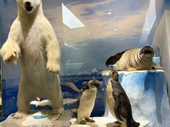 -国家自然博物馆