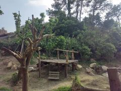 -宁波野生动物园