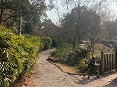 -五凤溪古镇