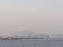 -海堤纪念公园