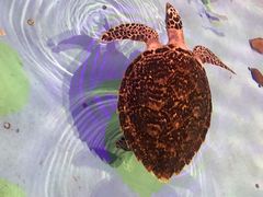 -波塞冬旅游度假区