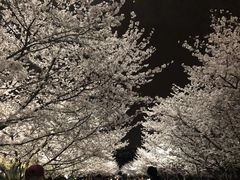 -同济大学四平路校区游泳馆