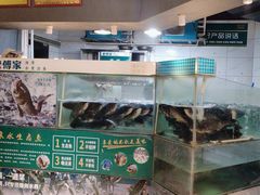 -老傅家湘潭水煮活鱼店(众一国际店)