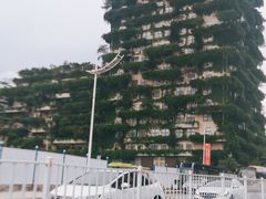 -碧桂园总部大楼