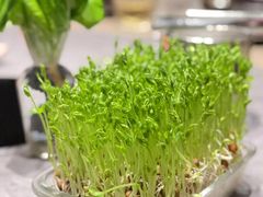 -罗勒家·养生火锅· Bistro(大望路店)