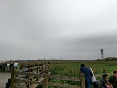 -吴淞炮台湾湿地森林公园烧烤区