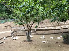 -栾川竹海野生动物园