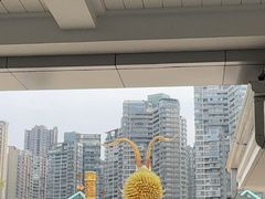 -海合安成都极地海洋公园