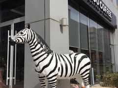 -ZOO COFFEE 动物园咖啡(亦庄店)