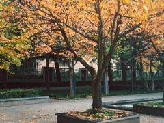 -木塔寺遗址生态公园