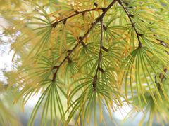 -白塘生态植物园
