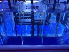 -左海海底世界
