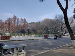 -武汉大学-樱园