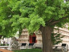 -北京石刻艺术博物馆(五塔寺)