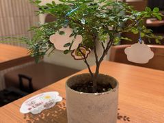 -CURRY YA 熟成咖哩專門店(深圳湾万象城店)