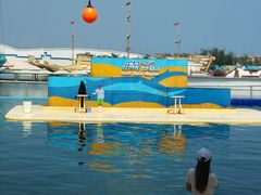 -秦皇岛乐岛海洋王国