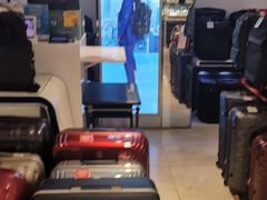 -新罗免税店(首尔总店)