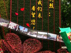 -上海市龙华烈士陵园