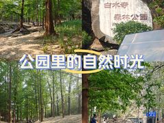 -白水寺森林公园