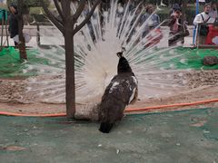 -陕西自然博物馆