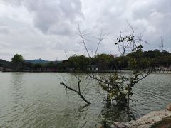 -惠州西湖