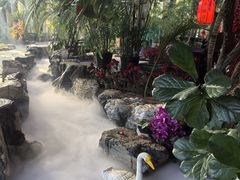 -东方华地城湿地温泉度假区