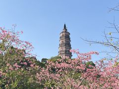 -顺峰山公园
