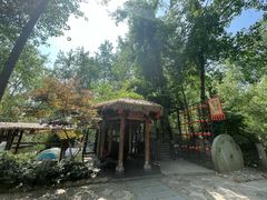 -合肥滨湖国家森林公园