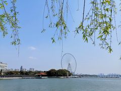 -无锡蠡湖国家湿地公园-蠡园