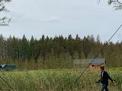 -黄海国家森林公园