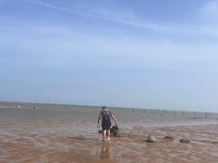 -刘家湾赶海园