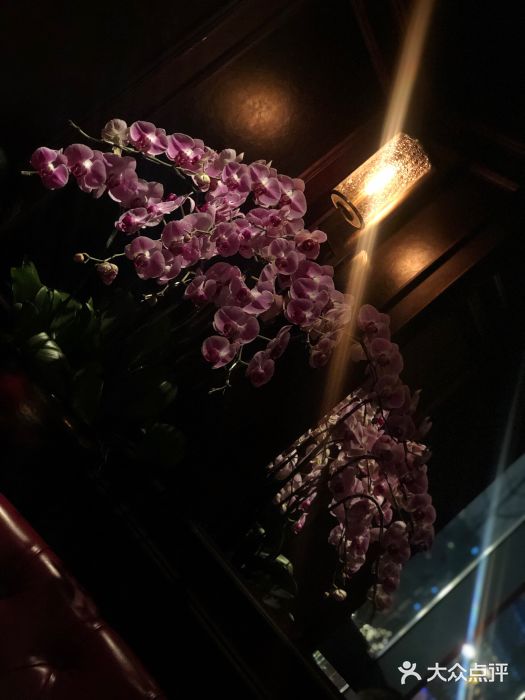 Wolfgang’s Steakhouse 沃夫冈牛排馆(上海白玉兰广场店)景观位图片